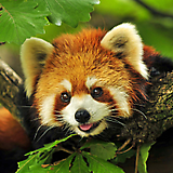 Materials and Models Store