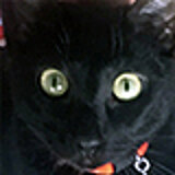 Roberto Gonzalez García