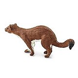 Kamaev Damir Nailevich